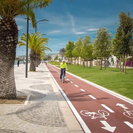 Dimoras 3br Center Terrace & Parking אולביה